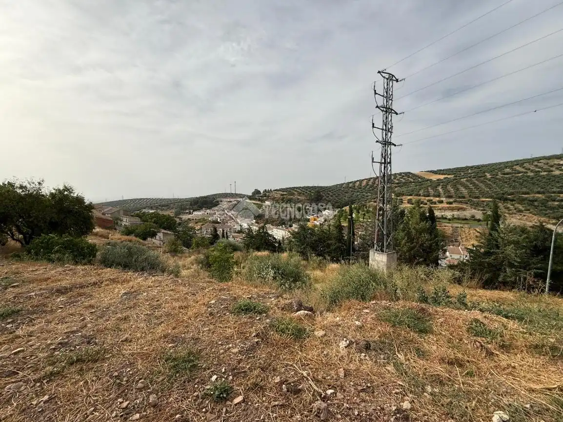 Terreni e lotti in vendita a Martos, imagen 19