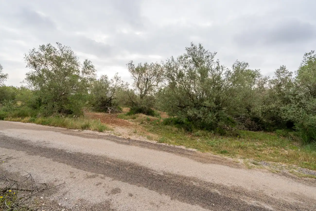 Terreno en venta en Mas de Barberans