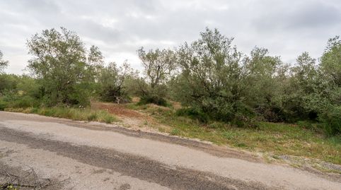 Foto 3 de Terreno en venta en N/a, -1, Mas de Barberans, Tarragona