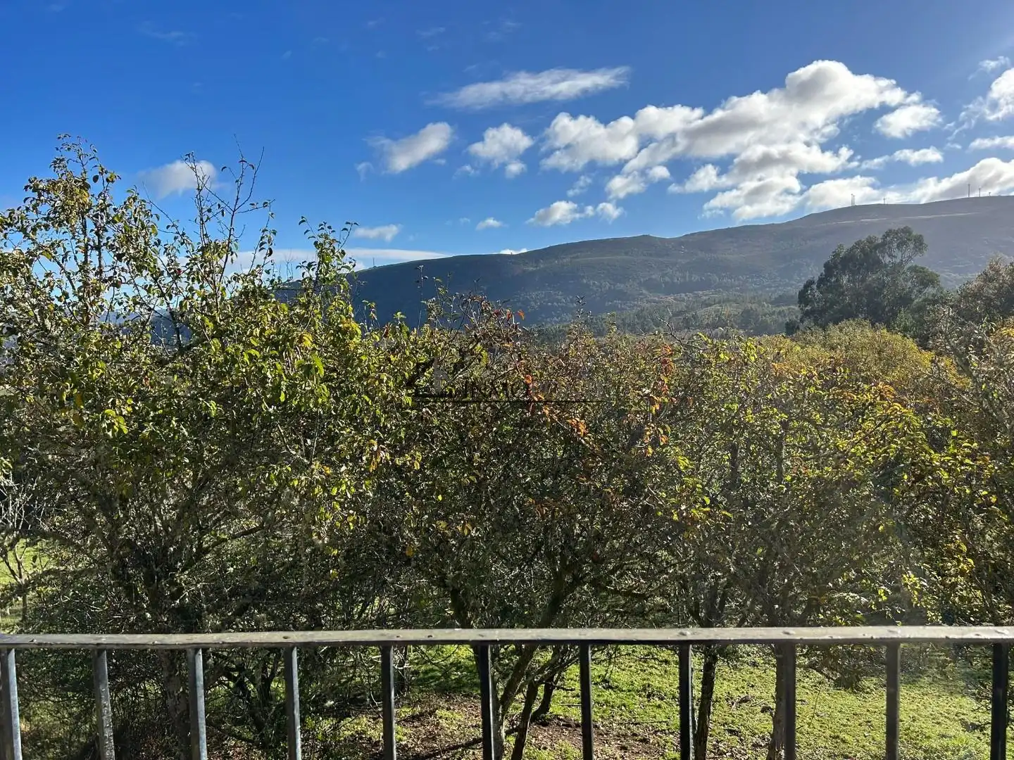 Vista exterior de Casa o xalet en venda en Cerdedo amb Jardí privat