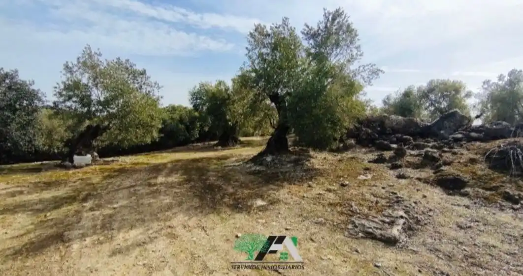 Terrenos y solares en venta en Úbeda, imagen 4