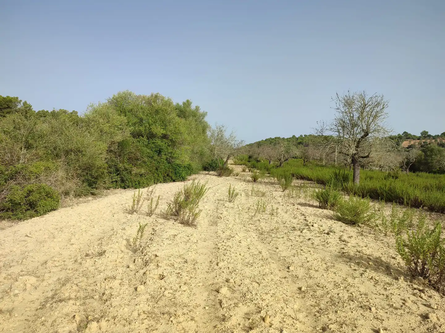 Terreny residencial en venda a Sant Joan, imagen 15