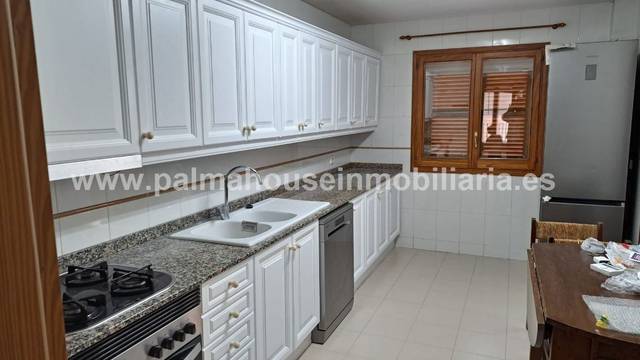 Ático en Alquiler en Arxiduc