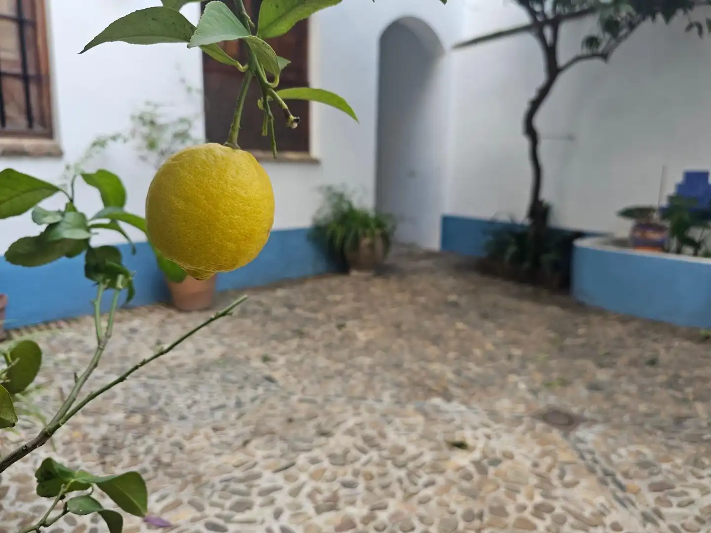 Garten von Maisonette zum Verkauf in Córdoba mit Klimaanlage und Heizung