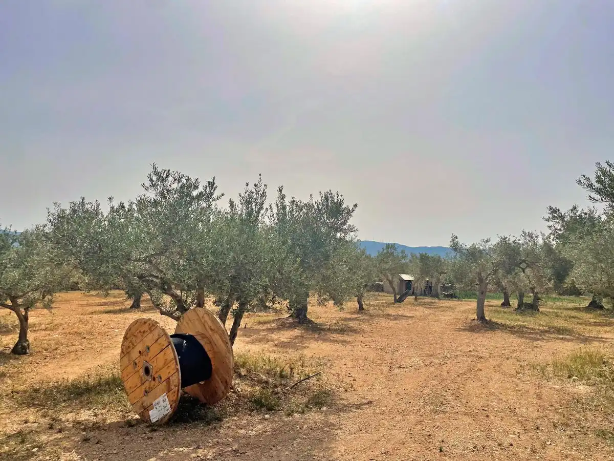 Casa o xalet en venda en Xerta amb Terrassa