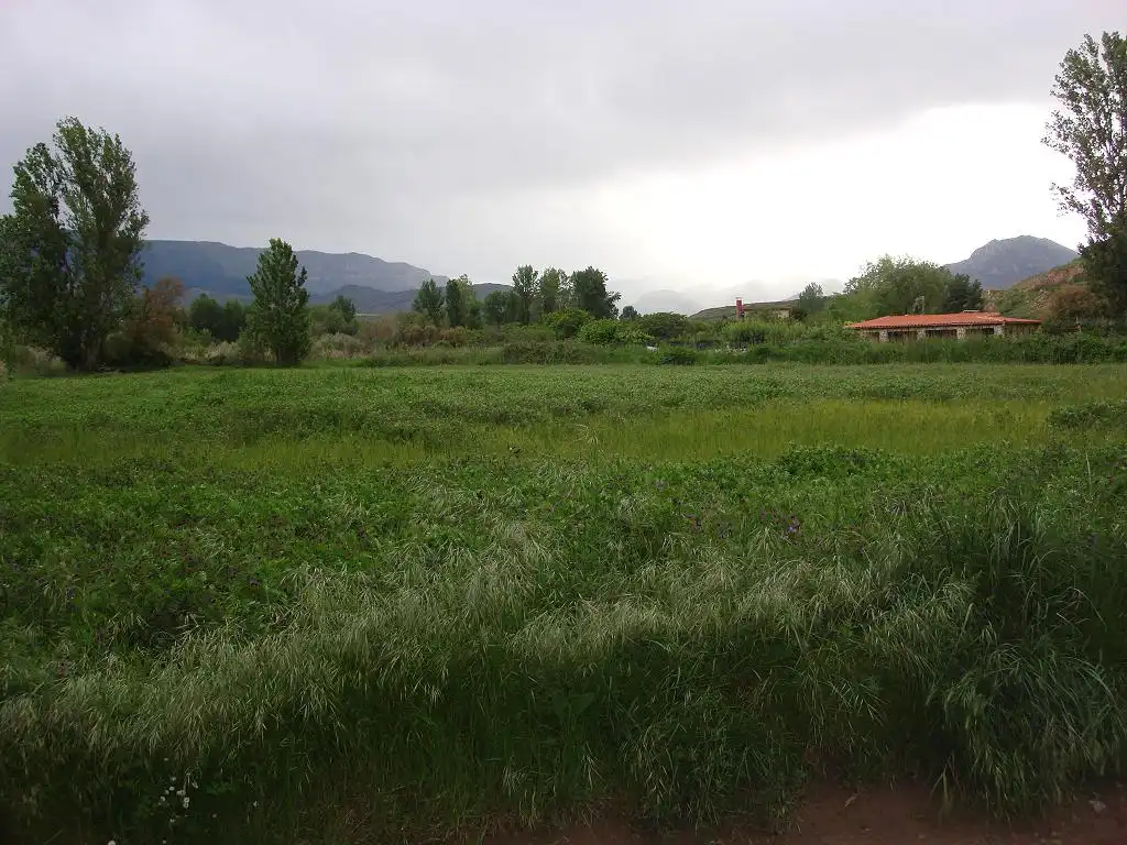 Terreno rústico en venta en Ribafrecha, imagen 11