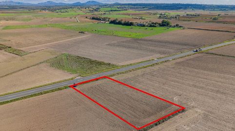 Terreno en Ariany, imagen 4