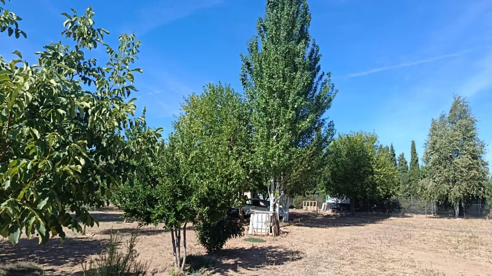 Jardín de Casa o chalet en venta en Ciudad Real
