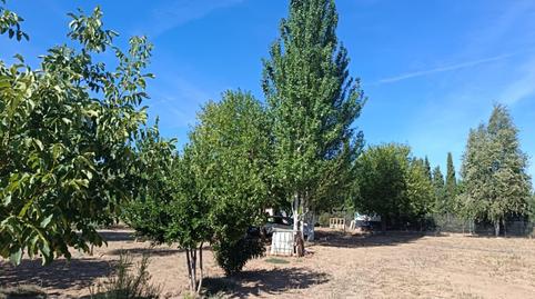 Foto 2 de Casa o chalet en venta en Carretera Carretera, 229, Área Rural-valverde-las , Puerta de Toledo - Atalaya, Ciudad Real Capital