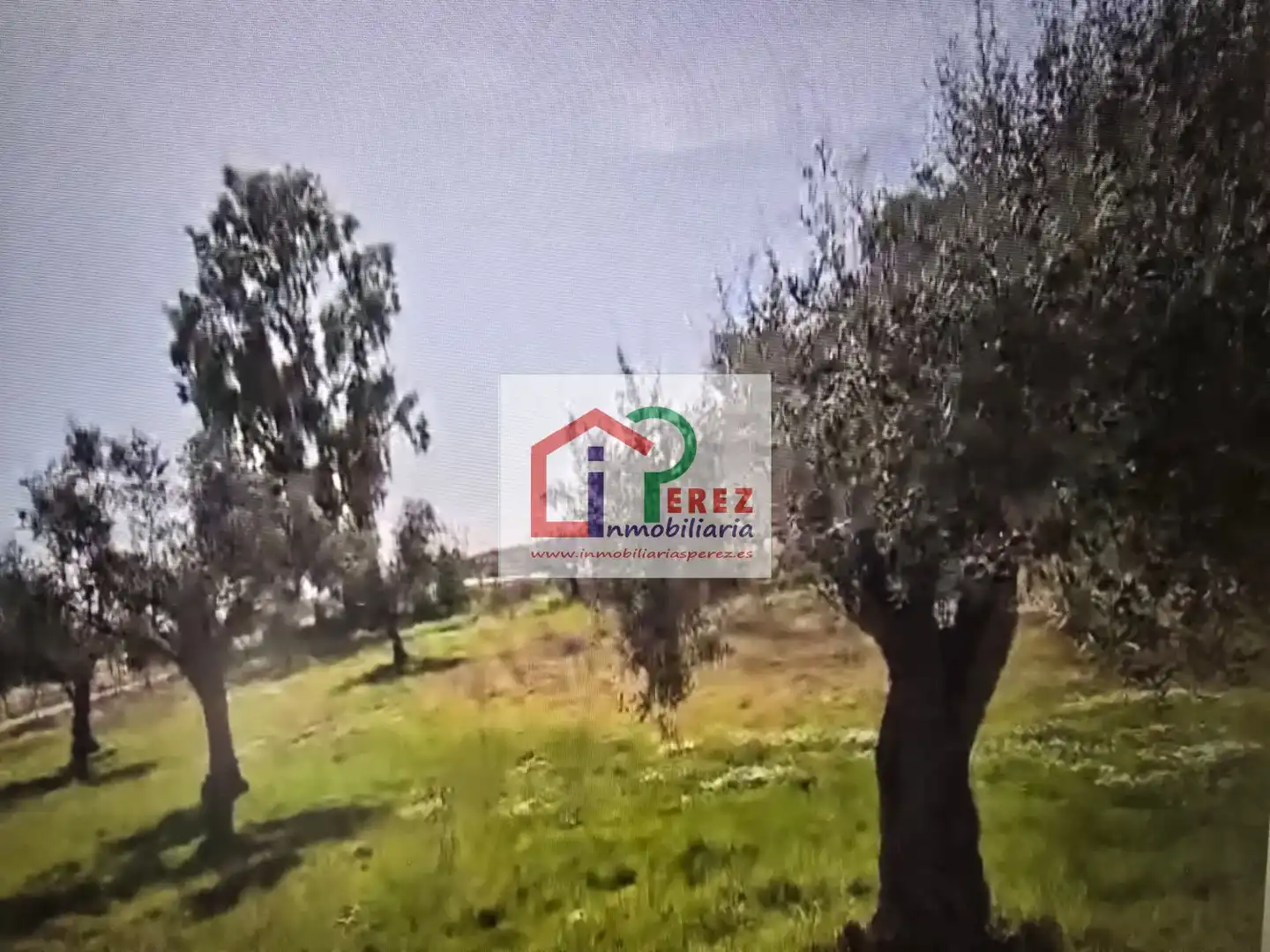 Finca rústica en venta en Lucillos