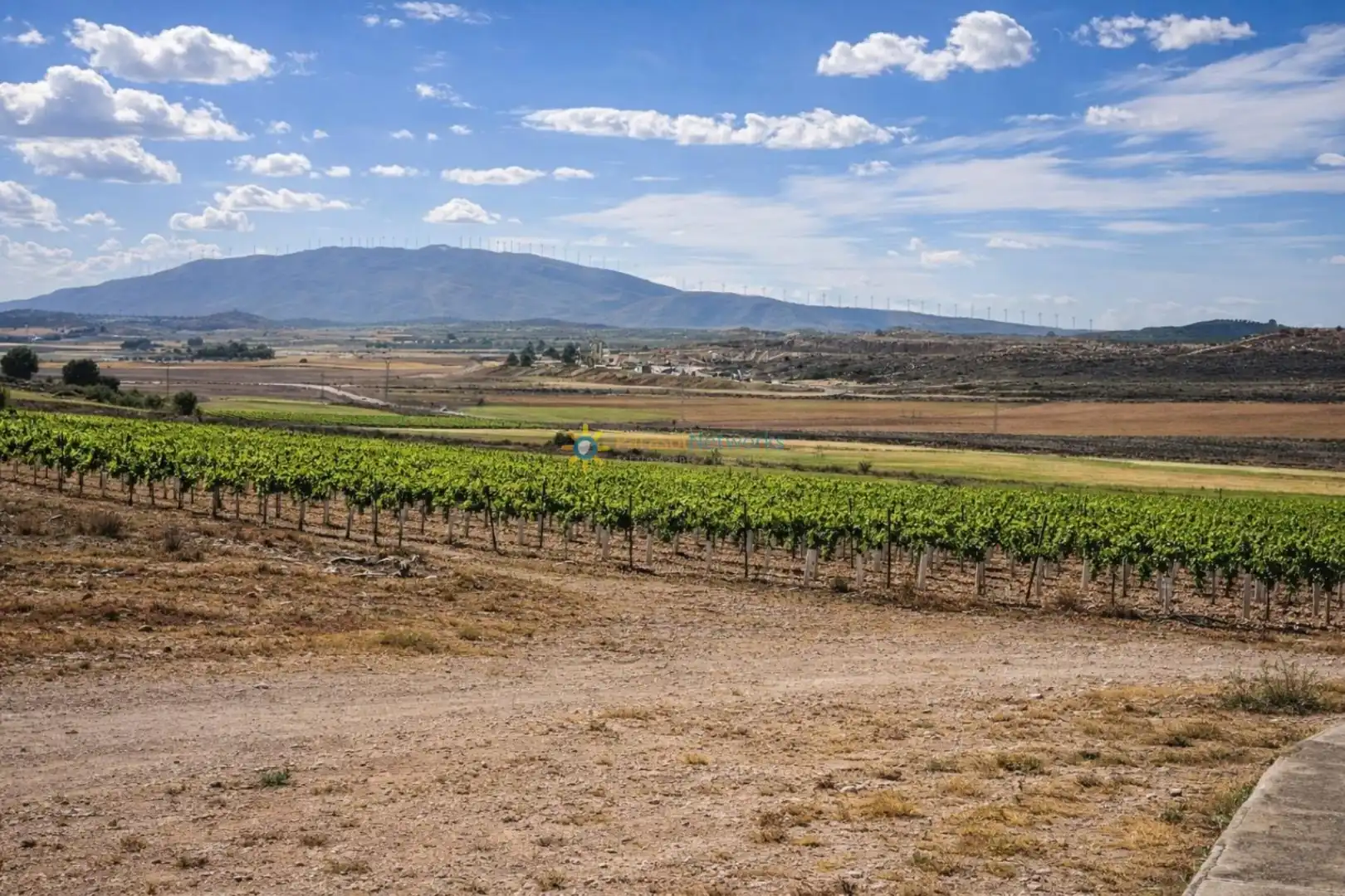 Vista exterior de Finca rústica en venda en Villena amb Jardí privat i Traster