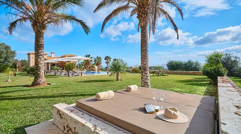 Foto 4 de Finca rústica en venta en Els pla de na Tesa, Marratxí