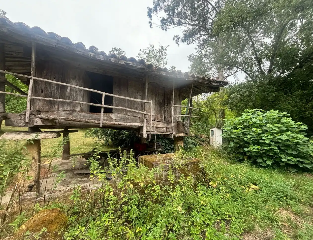 Vista exterior de Finca rústica en venda en Gijón  amb Jardí privat