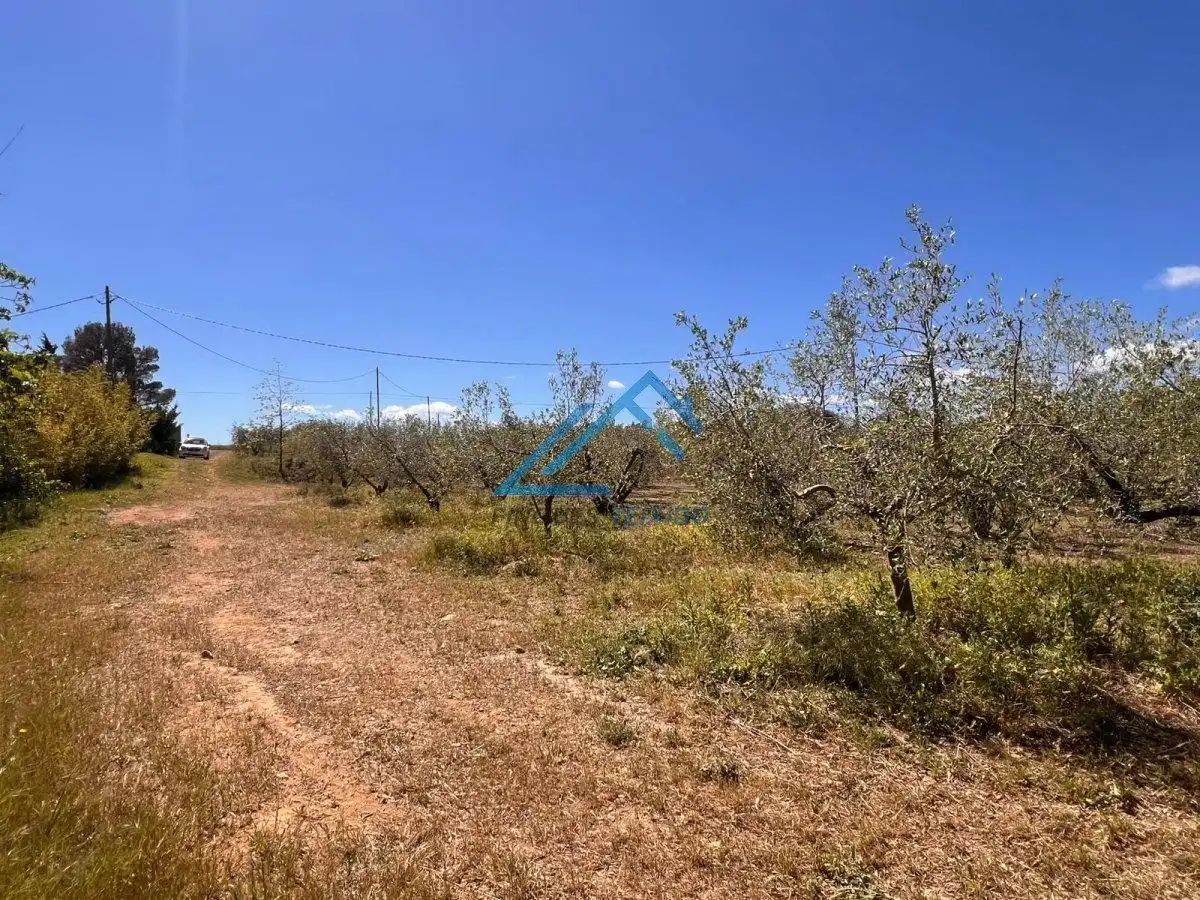 Land for sale in Vinyols i els Arcs