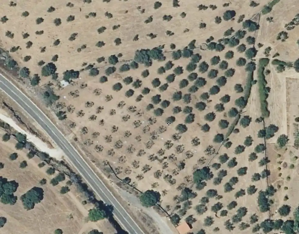Terreni e lotti in vendita a Valencia de Alcántara, imagen 8