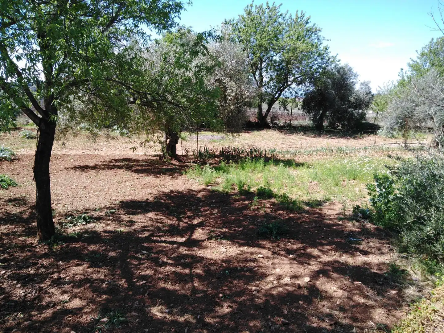 Casa rústica amb piscina en venda a Partidas Norte, imagen 17