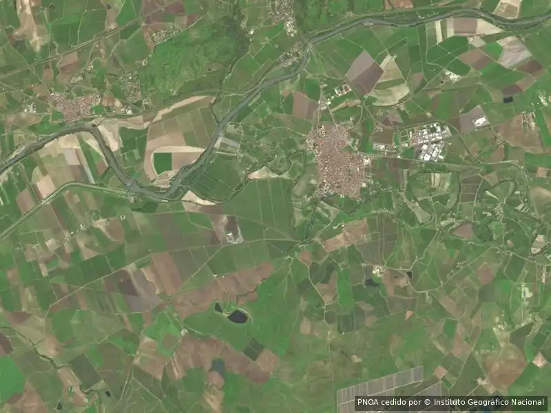 Pis en venda a Palma del Río