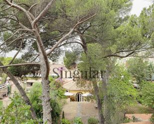 Jardí de Casa o xalet en venda en  Barcelona Capital amb Aire condicionat, Calefacció i Jardí privat