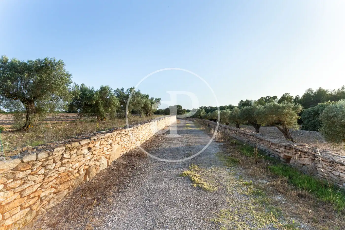 Finca rústica en venda en Alicante / Alacant amb Calefacció, Jardí privat i Terrassa
