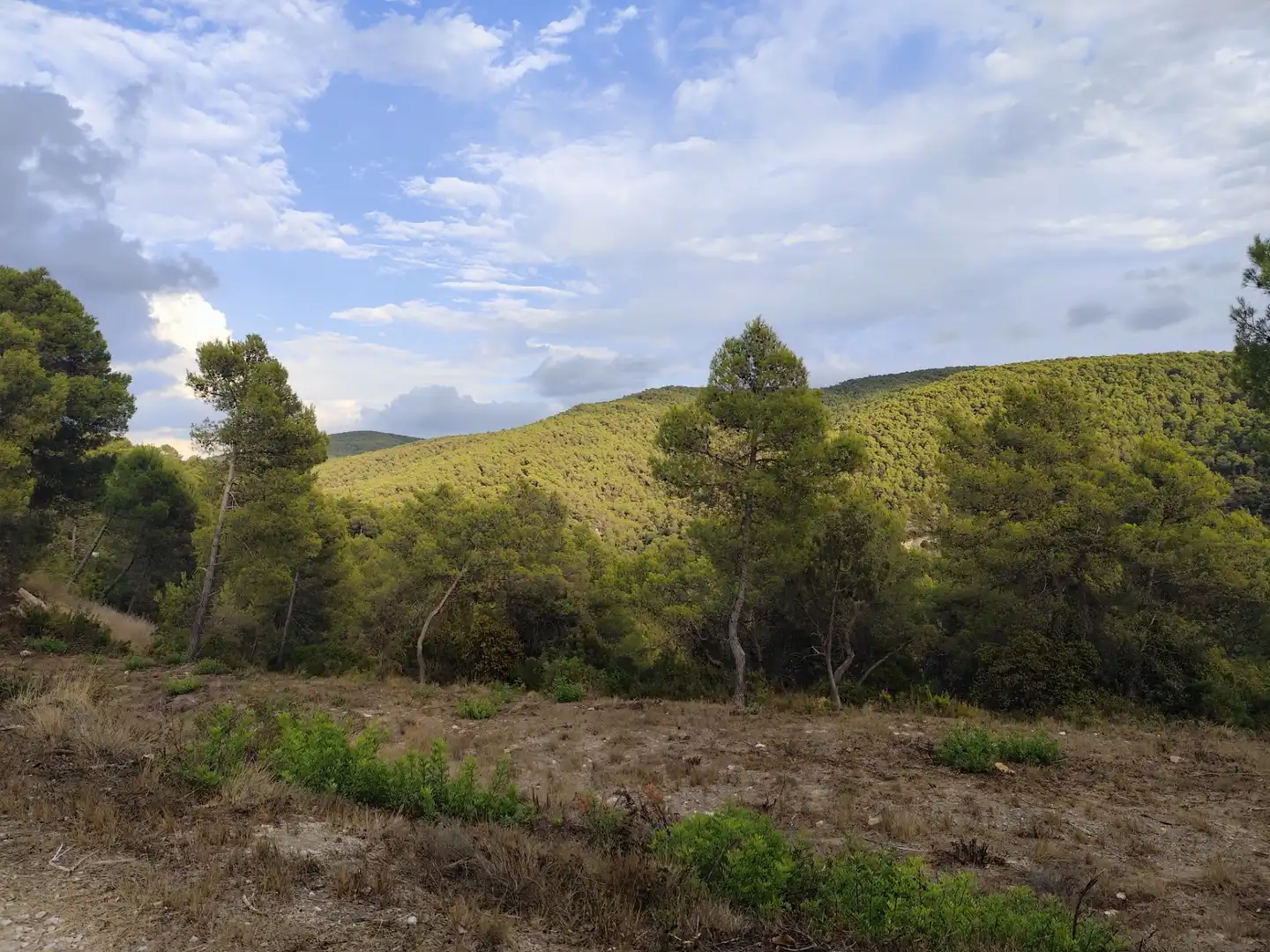 Houses for sale in Carrer Linda, 5, Querol