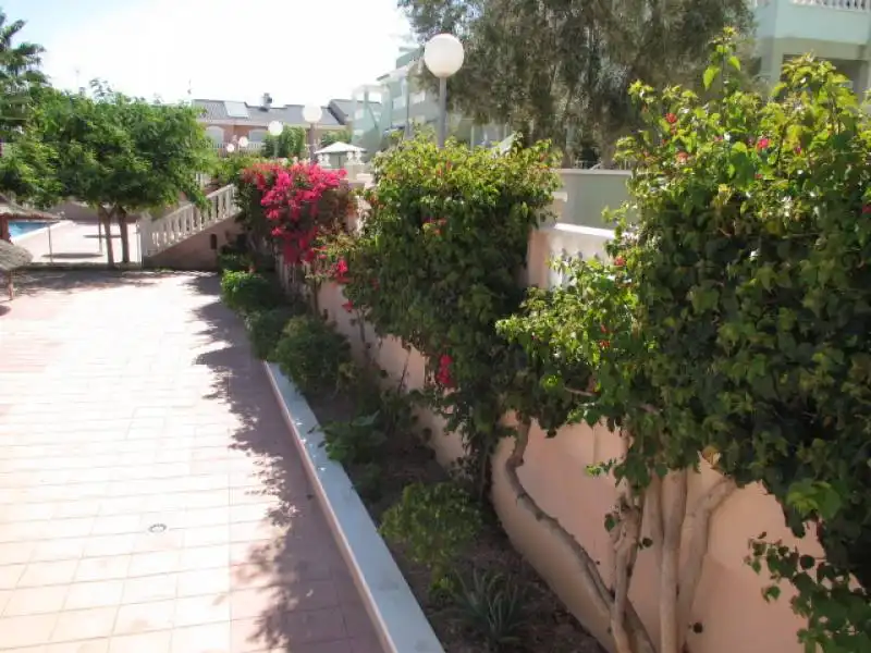 Duplex with pool to rent in Avenida CARABASSI, imagen 25