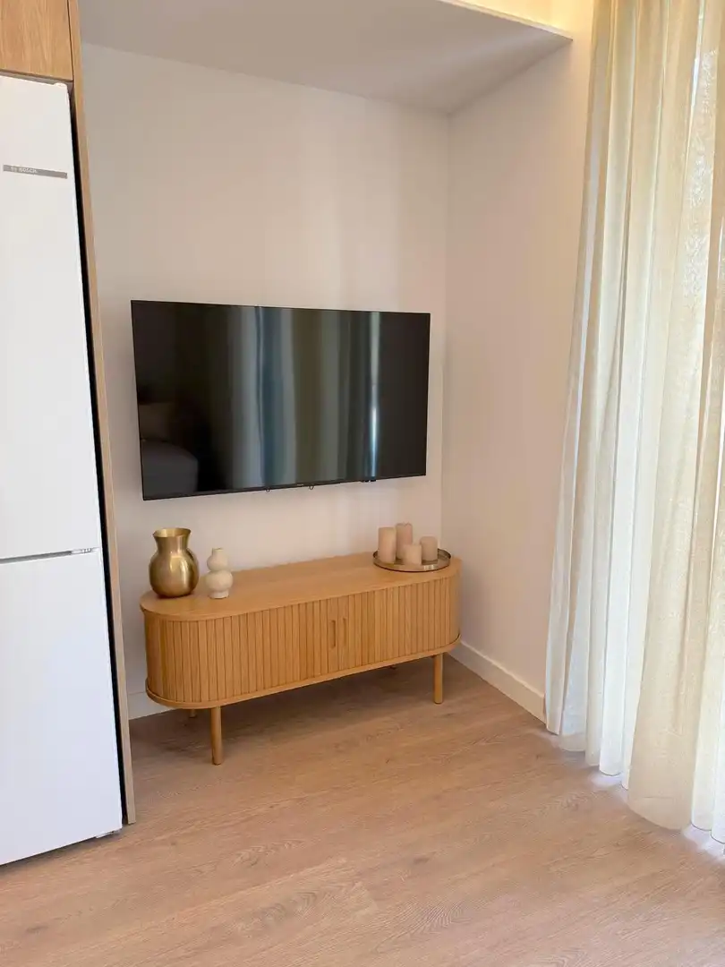 Living room of Flat for rent in Alicante / Alacant