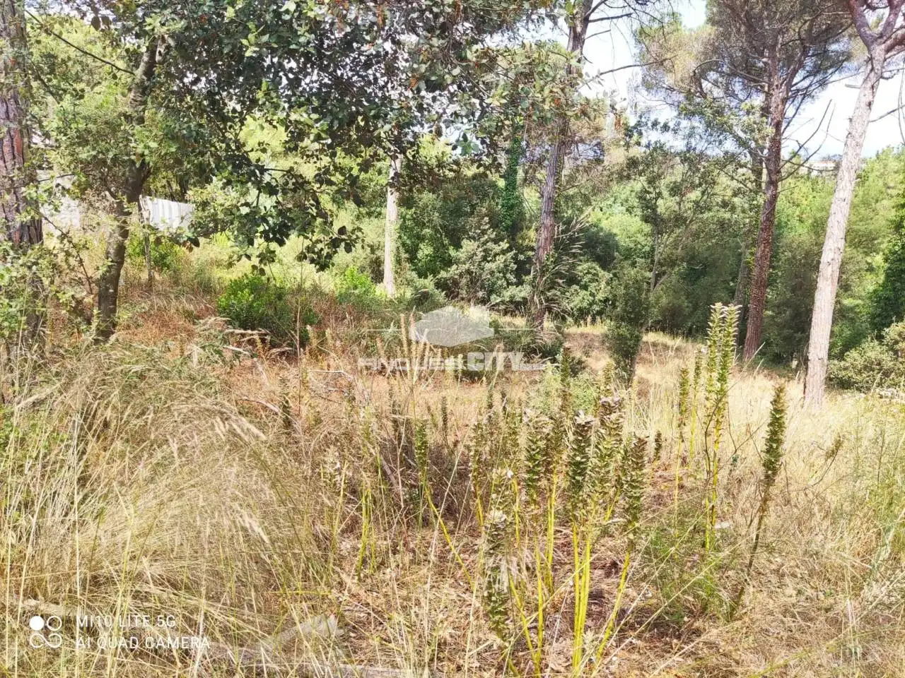 Terreno residencial en venta en Calle Nard, imagen 7