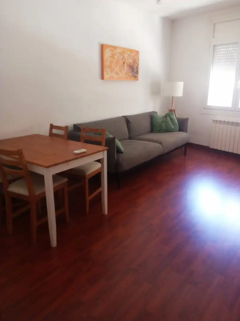 Sala de estar de Piso de alquiler en Girona con Aire acondicionado, Calefacción y Parquet