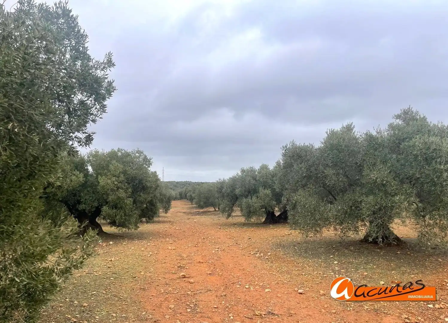 Terrenos y solares en venta en Alameda, imagen 27