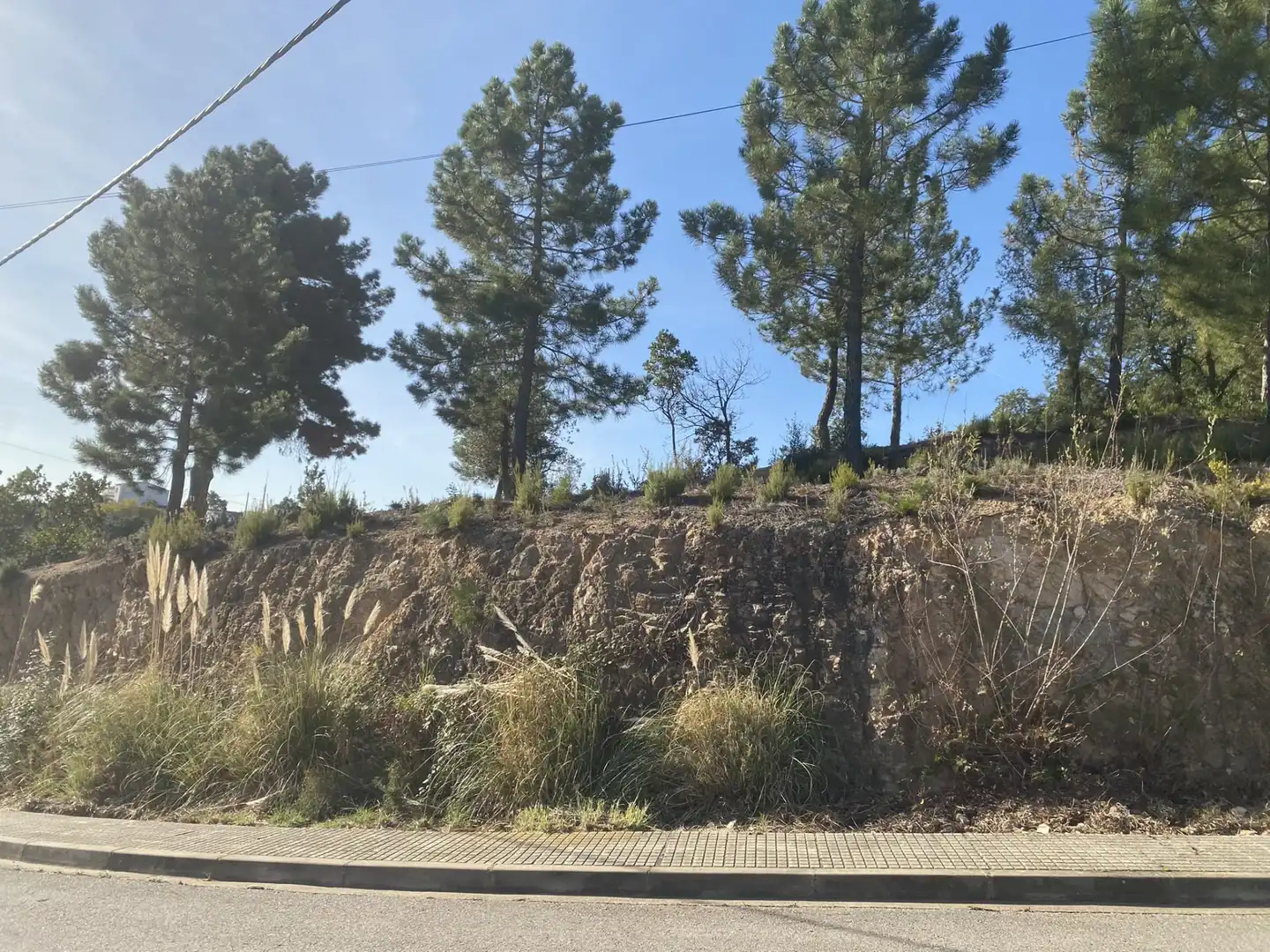 Terreno residencial en venta en Calle Lirios 23, imagen 6