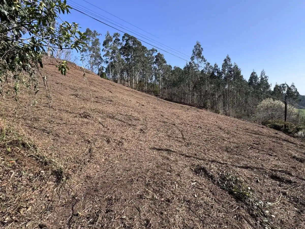 Grundstücke und Bauplätze zum Verkauf in Vibaña - Ardisana - Caldueño, imagen 8