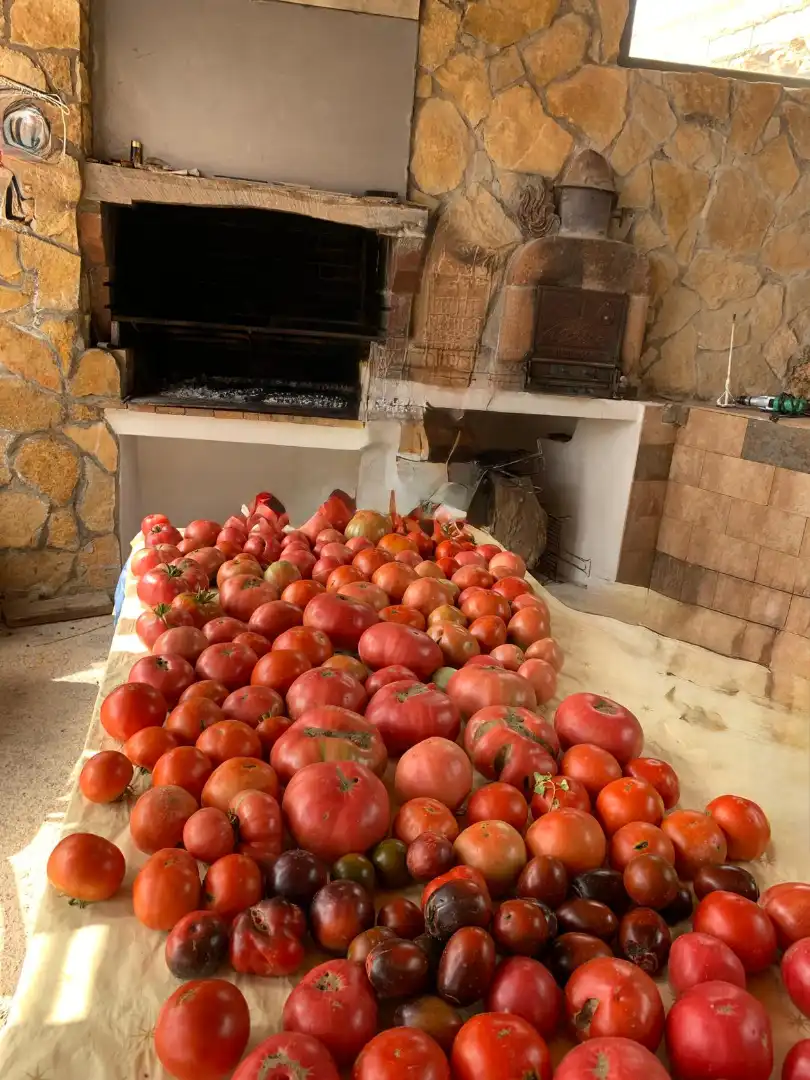 Finca rústica en venta en Sierra Engarcerán con Aire acondicionado, Terraza y Trastero