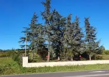 Terreni e lotti in vendita a Garrafe de Torío, imagen 10