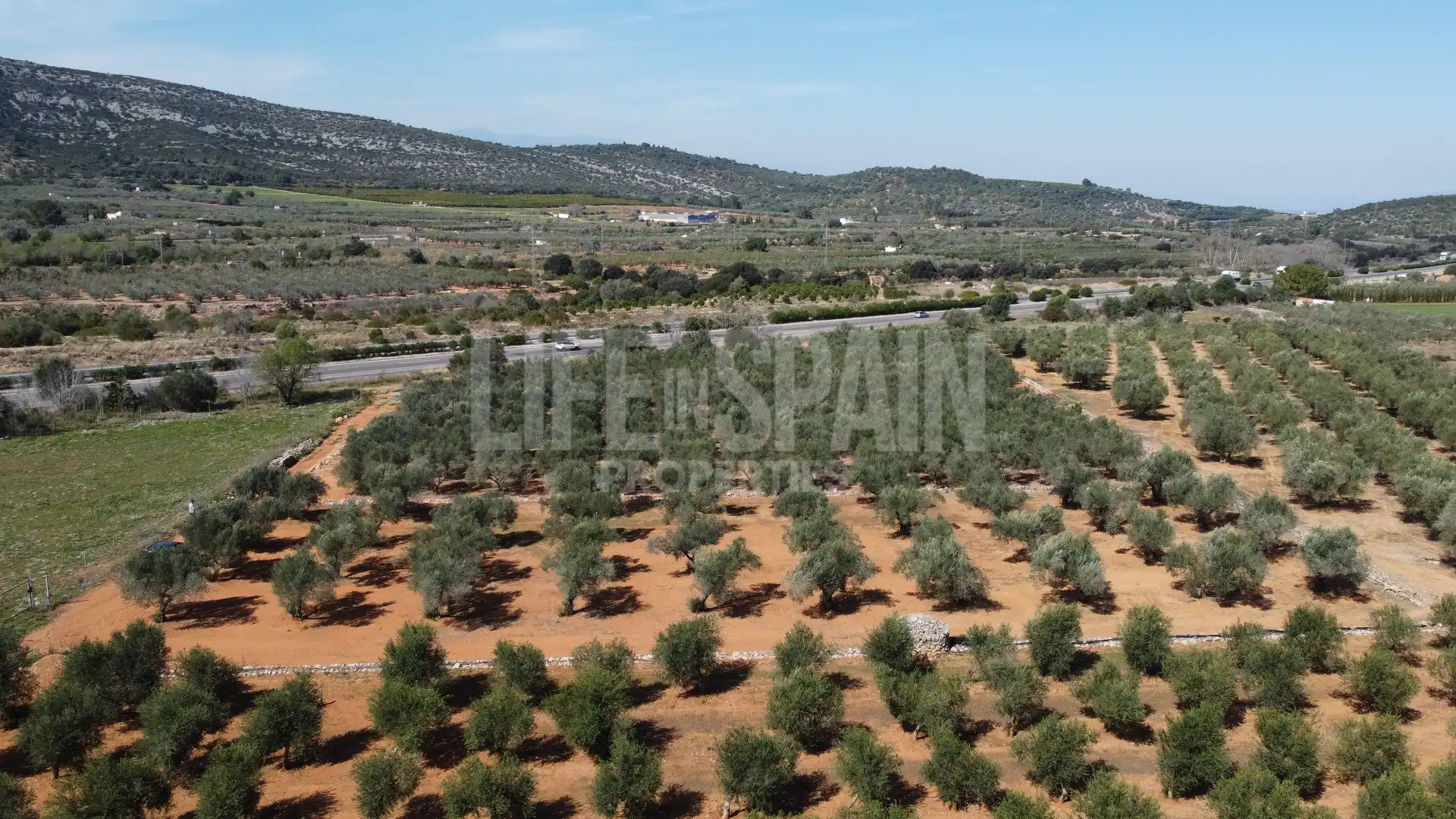 Terreno rustico in vendita a Freginals, imagen 5