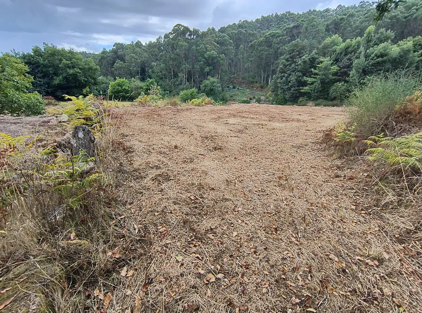 Terrenos y solares en venta en Mondariz, imagen 9