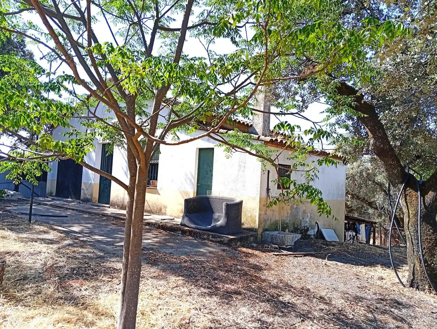 Vista exterior de Finca rústica en venda en Higuera de la Sierra