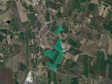 Rustikales Grundstück zum Verkauf in Plan Parcial Sau