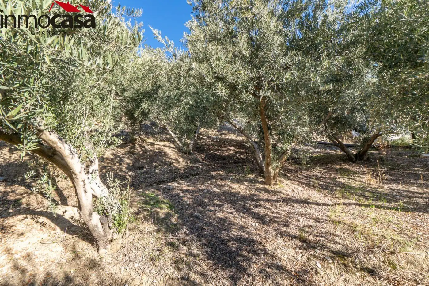 Finca rústica en venda a Polígono PARAJE DE LA HOYA, Güéjar Sierra