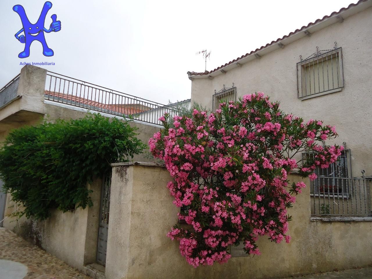 Jardí de Casa o xalet en venda en Morille amb Calefacció i Terrassa