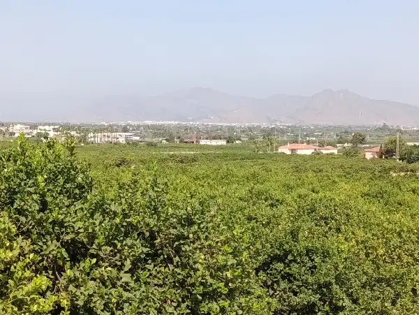 Rustikales Grundstück zum Verkauf in Jacarilla, imagen 6