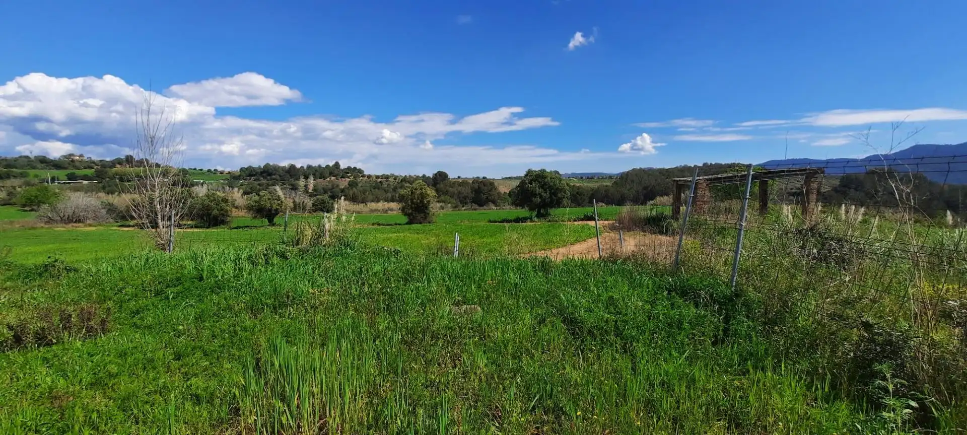 Lands and plots for sale in Sant Llorenç d'Hortons, imagen 14