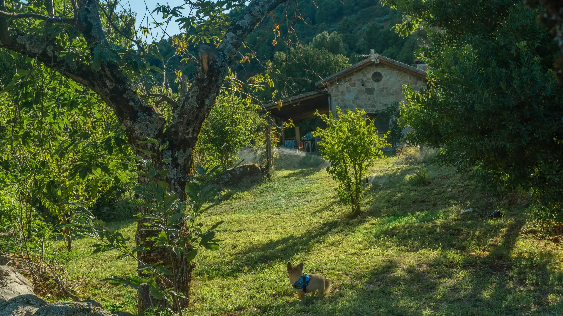 Jardí de Casa o xalet en venda en El Hornillo 