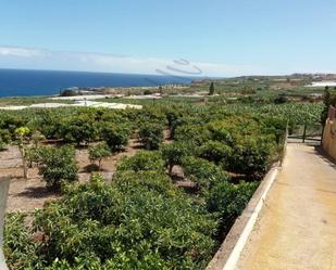 Land for sale in Buenavista del Norte