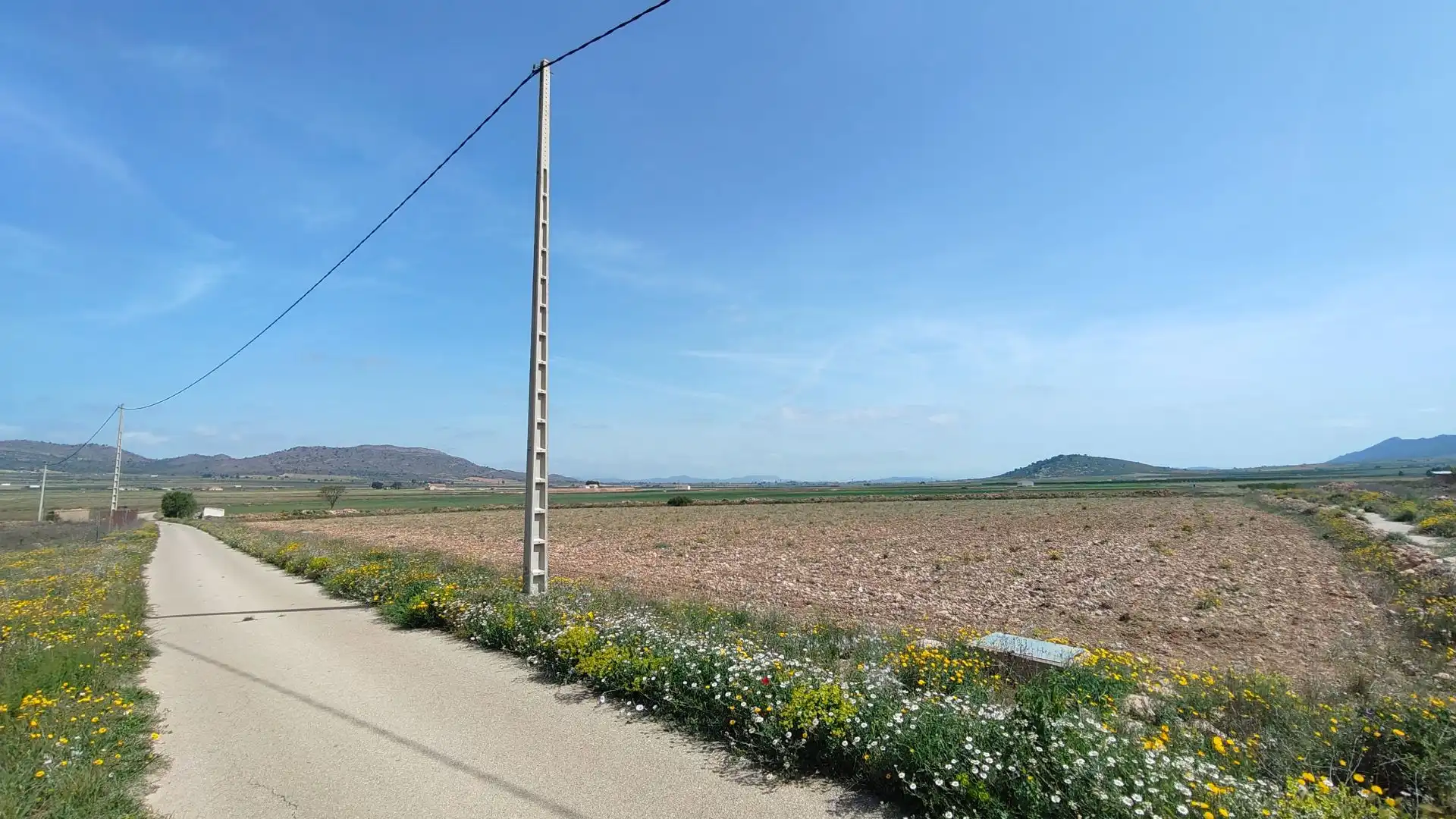 Terreni e lotti in vendita a Yecla