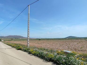 Terreno rustico in vendita a Yecla