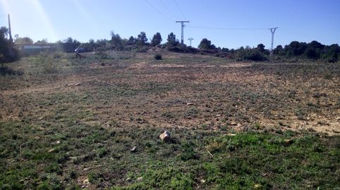 TERRENO RUSTICO SECANO TURIS VALLADO