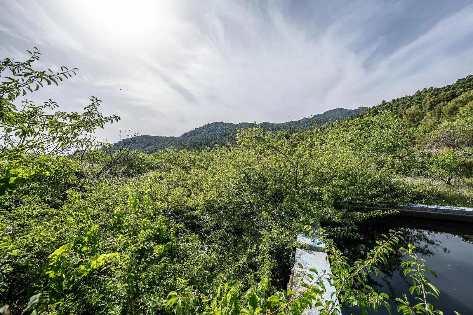 Finca rústica en venta en Moratalla con Piscina
