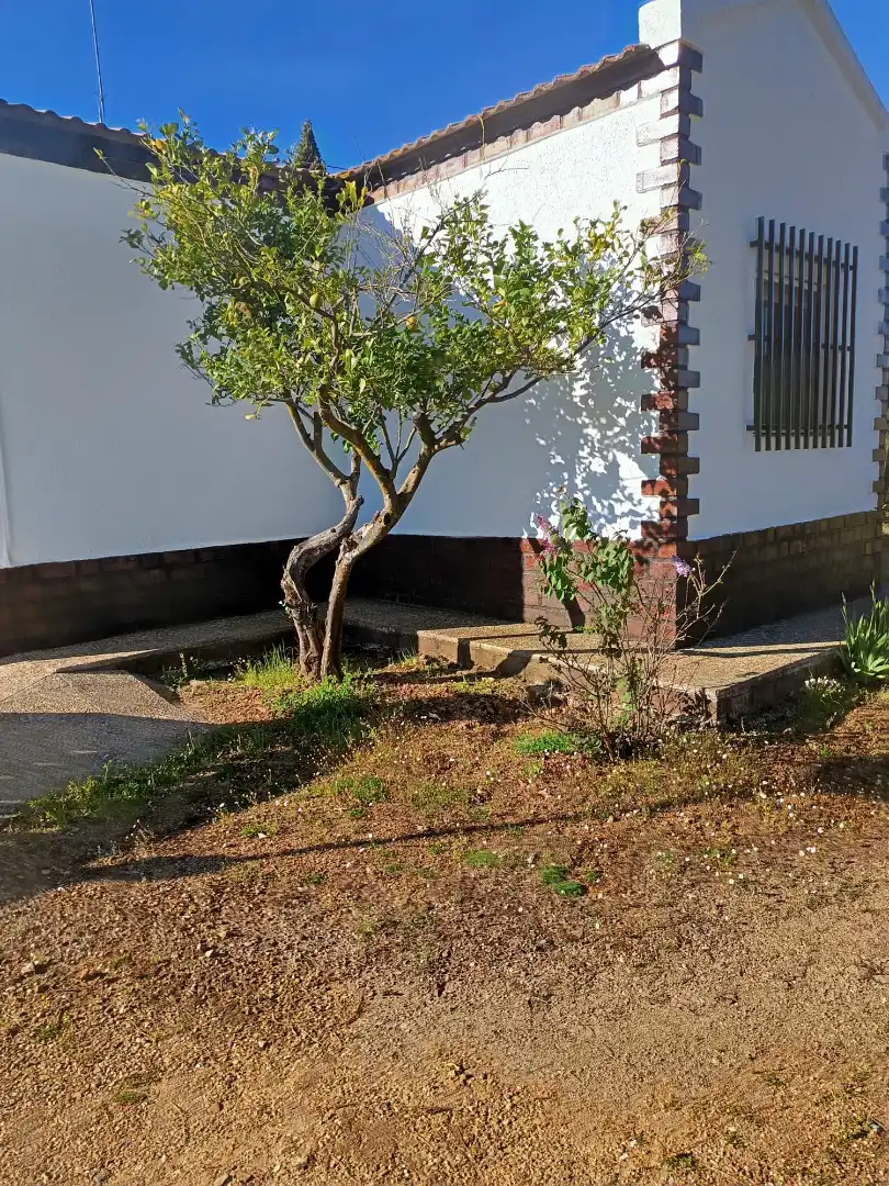Casa rústica con piscina en venta en Zafra, imagen 4