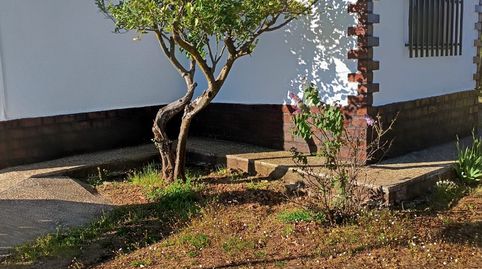 Foto 4 de Finca rústica en venta en Zafra, Badajoz