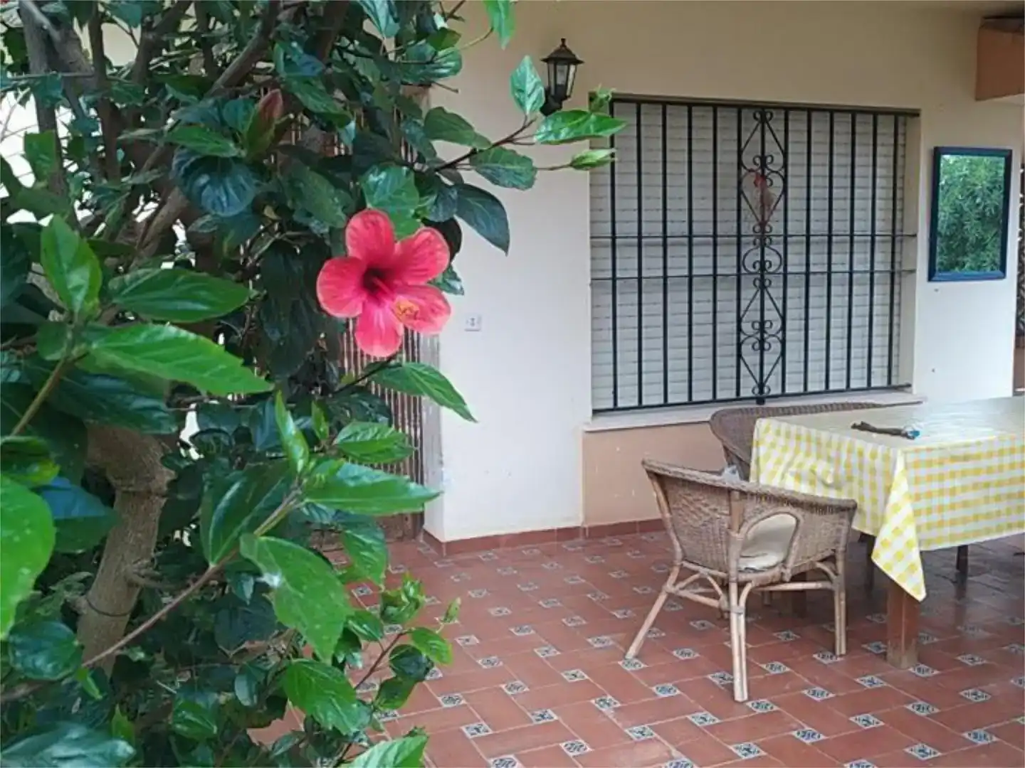 Terraza de Casa o chalet en venta en Ayamonte con Jardín privado, Piscina y Amueblado